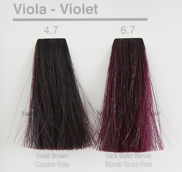 Mua thuốc nhuộm tóc keratin màu tím ở đâu Công Ty Cổ Phần LAVO